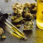 Leczenie medycznej marihuany – nowe metody stosowania